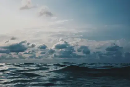 Ocean at dusk: assessing and securing an investment.
