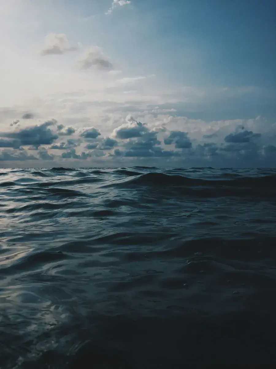 Ocean at dusk: assessing and securing an investment.